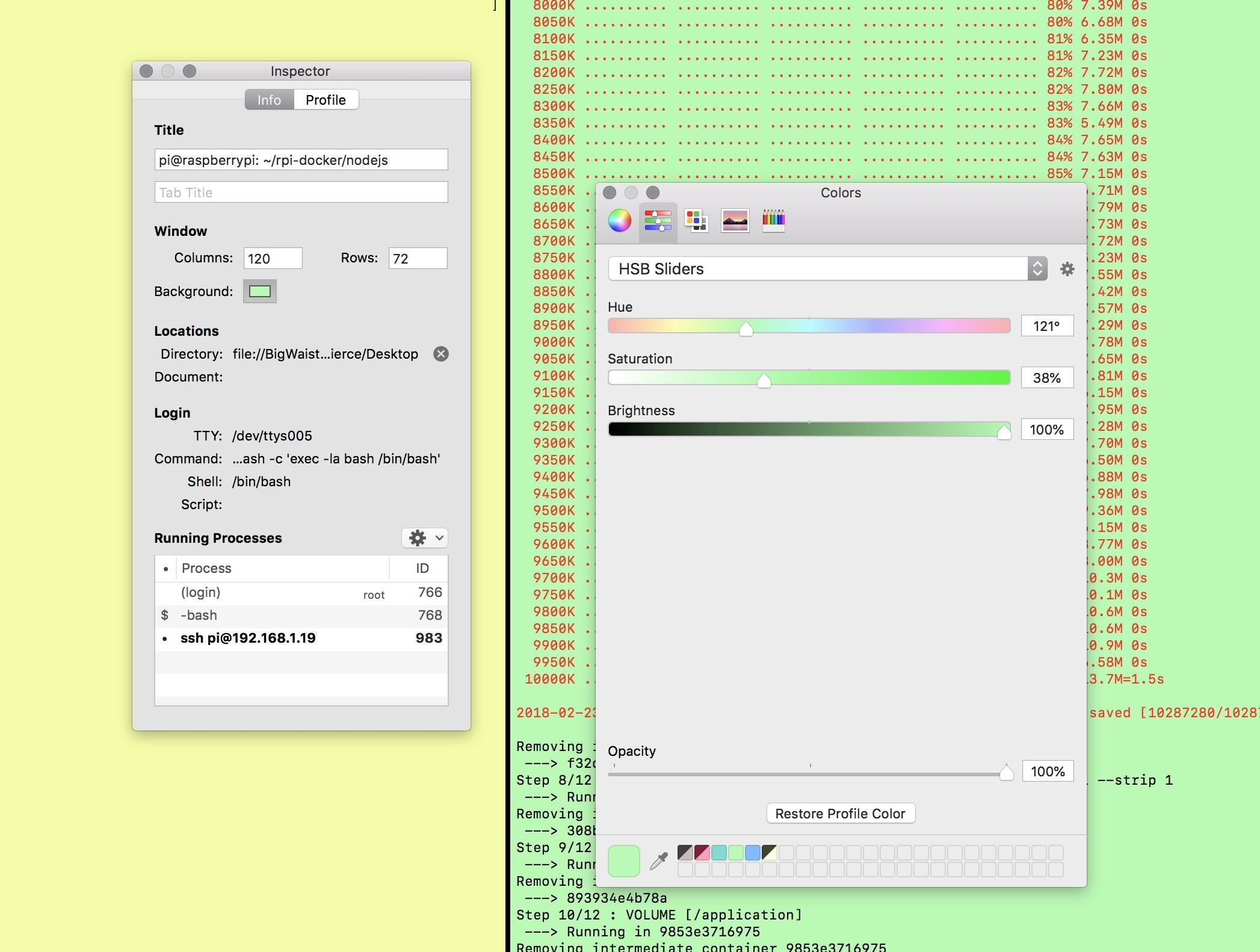 Terminal Inspector Colors